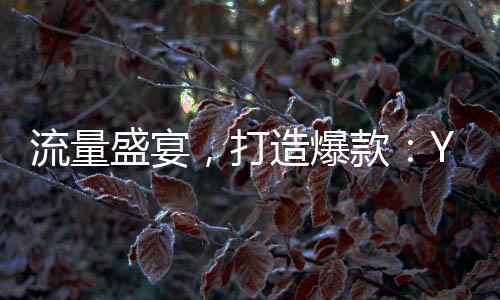流量盛宴，打造爆款：Y3創(chuàng)作星秀計劃1月15日正式開啟