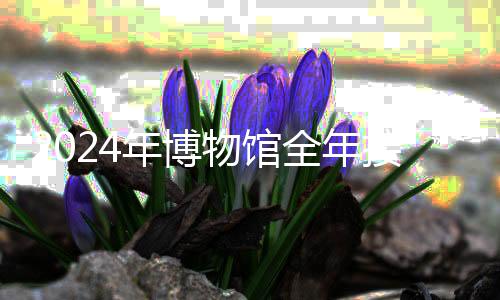 2024年博物館全年接待觀眾超14億人次 你去逛館了嗎？